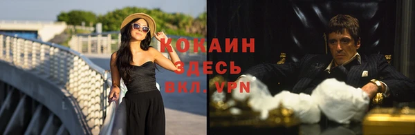 прущая мука Арсеньев