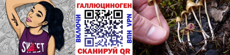 как найти наркотики Ревда Галлюциногенные грибы прущие грибы